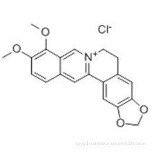 BERBERINE CHLORIDE CAS 141433-60-5